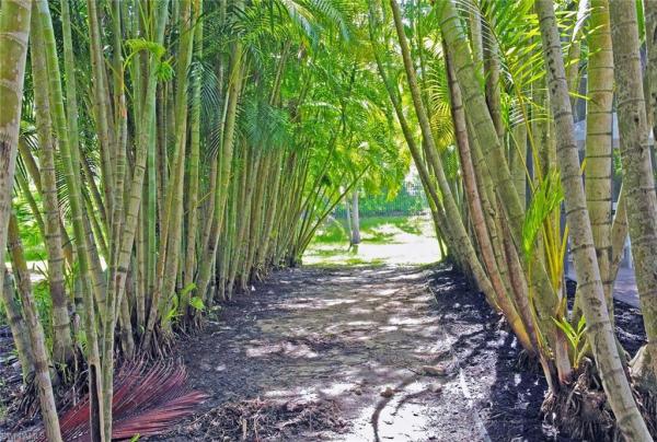Stoneybrook, 9628 Blue Stone Cir, Fort Myers, Florida 33913, image 2