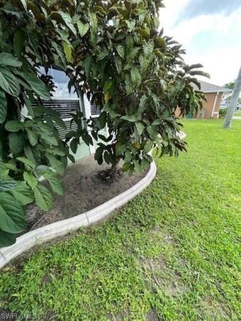 Cape Coral Residential, 536 2nd Ter, Cape Coral, Florida 33990, image 2
