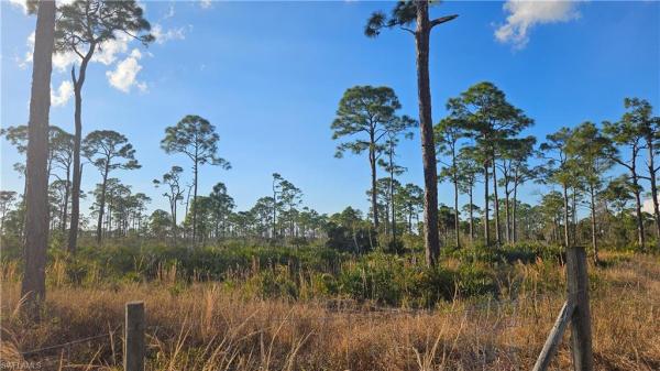 Cape Coral, 3410 39th Ln, Cape Coral, Florida 33993, image 1