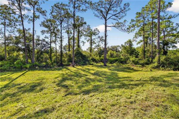 2006 Mcarthur Ave, Alva, Florida 33920, image 1