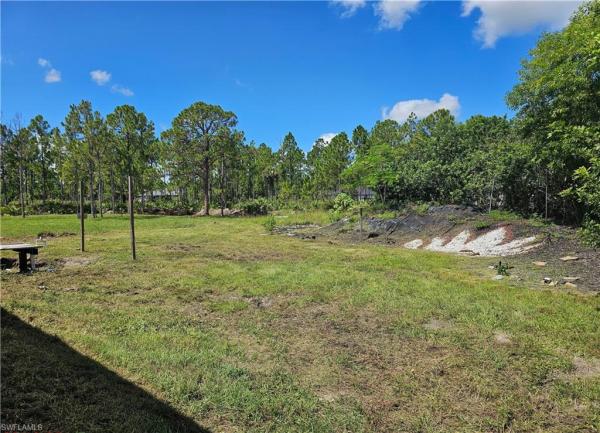 1007 State Ave, Lehigh Acres, Florida 33972, image 1