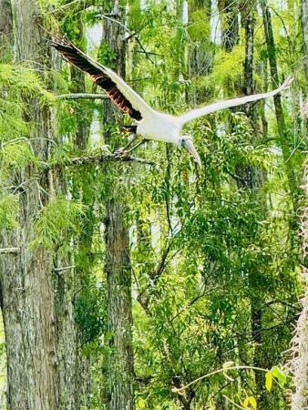 10760 Palazzo Way #303, Fort Myers, Florida 33913, image 1