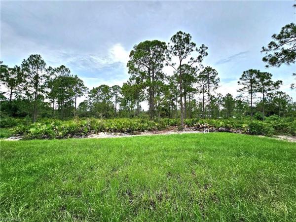 1305 Prospect Ave, Lehigh Acres, Florida 33972, image 1