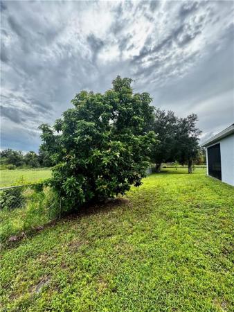 1709 Moore Ave, Lehigh Acres, Florida 33972, image 1