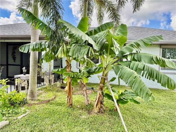 2400 3rd St, Lehigh Acres, Florida 33936, image 1