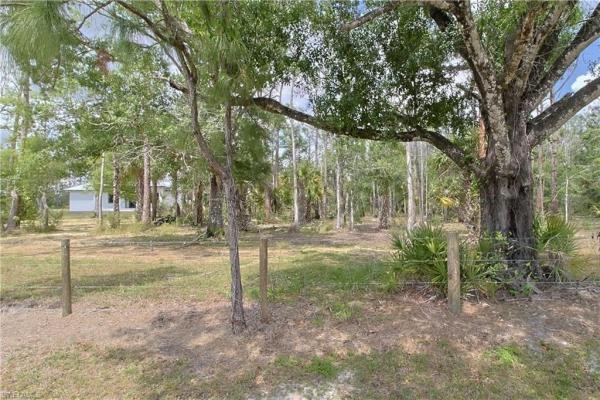 19401 Witts End, Alva, Florida 33920, image 1