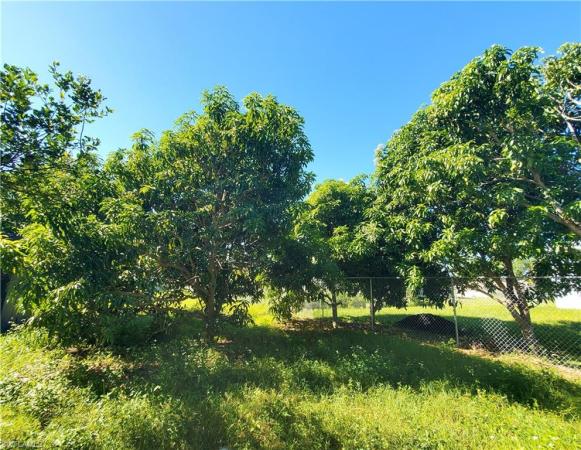 Lehigh Acres Residential, 913 N Sara Ave, Lehigh Acres, Florida 33971, image 1