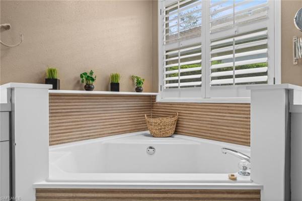 Danforth Lakes, 8872 Cedar Hollow Dr, Fort Myers, Florida 33912, image 3