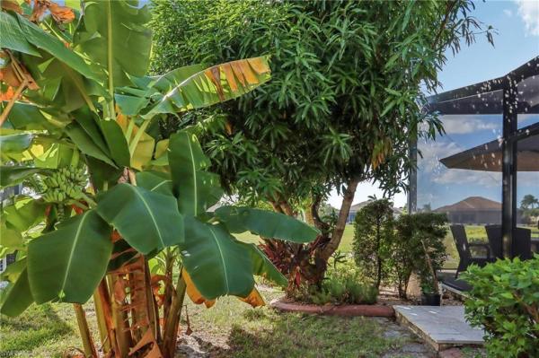 Royal Tee Country Club Estates, 11558 Royal Tee Cir, Cape Coral, Florida 33991, image 1