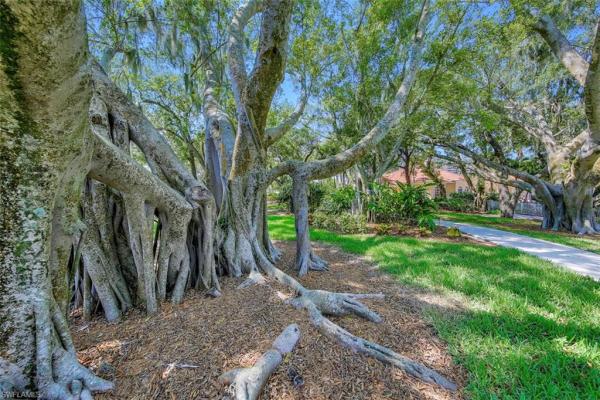 Tarpon Landings, 6061 Silver King Blvd #401, Cape Coral, Florida 33914, image 2