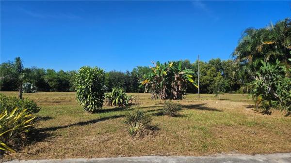 Naples No HOA, 11530 Riggs Rd, Naples, Florida 34114, image 2