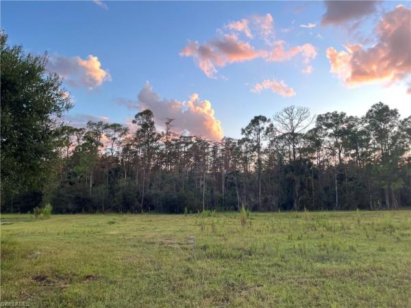 007 Misty Morning Ln, Fort Myers, Florida 33913, image 1