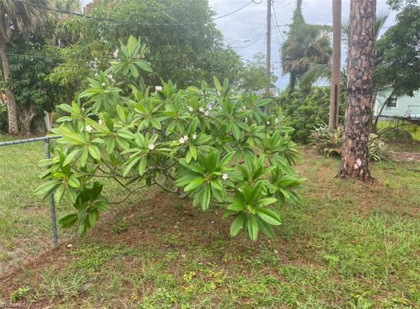 Naples Manor, 5237 Warren St, Naples, Florida 34113, image 1