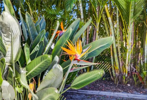 Cape Coral, 1928 SE 20th Ln #, Cape Coral, Florida 33990, image 1