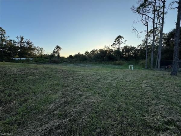 1019 Greenwood Ave, Lehigh Acres, Florida 33972, image 1