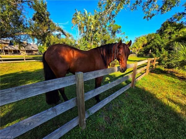 Hidden Acres, 3879 S Hidden Acres Cir, North Fort Myers, Florida 33903, image 2
