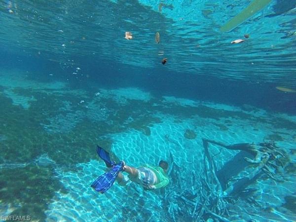 Estero Beach & Tennis Club, 7300 Estero Blvd #503, Fort Myers Beach, Florida 33931, image 1