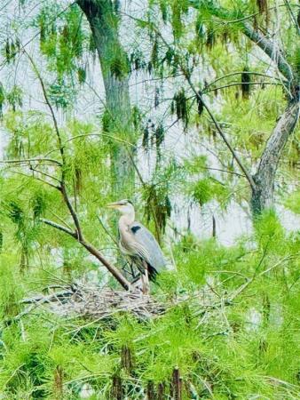 Materita, 10386 Materita Dr, Fort Myers, Florida 33913, image 1