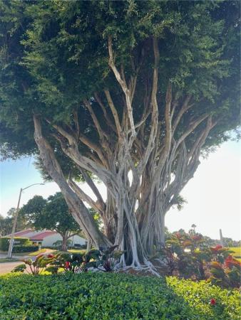 4100 Steamboat Bnd E #501, Fort Myers, Florida 33919, image 1