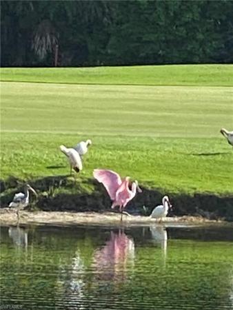 The Sanctuary At Wulfert Point, 2417 Wulfert Rd, Sanibel, Florida 33957, image 1