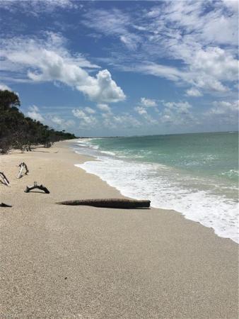 Safety Harbor Club, 370 Townhouse Lane 61, Upper Captiva, Florida 33924, image 3