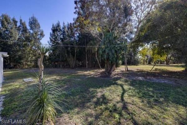 Alva Residential, 17770 Palm Beach Blvd, Alva, Florida 33920, image 2