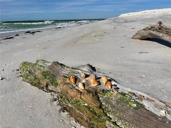 640 Gulf Ln #4, Upper Captiva, Florida 33924, image 1