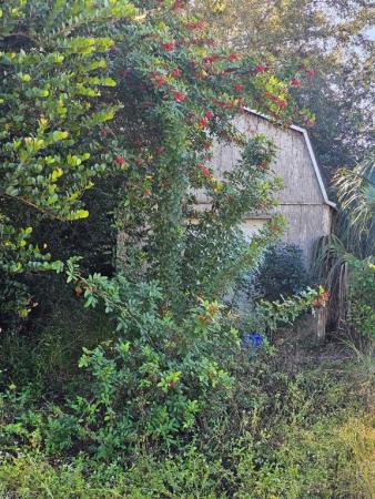 Fort Myers Shores, 2201 Parkview Dr, Fort Myers, Florida 33905, image 1