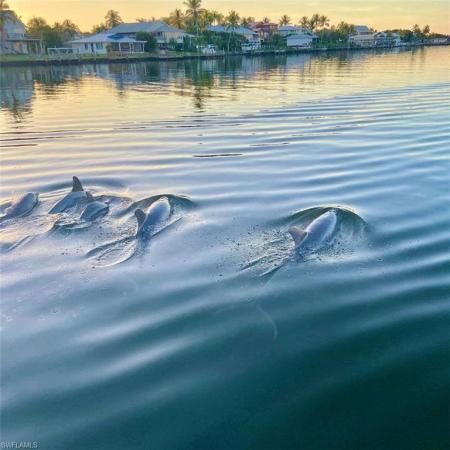 Boardwalk Caper, 18120 San Carlos Blvd #805, Fort Myers Beach, Florida 33931, image 3