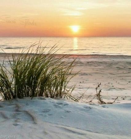 Boardwalk Caper, 18120 San Carlos Blvd #805, Fort Myers Beach, Florida 33931, image 2