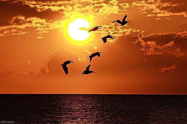 Boardwalk Caper, 18120 San Carlos Blvd #805, Fort Myers Beach, Florida 33931, image 1