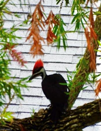 Myerlee Park Homes, 6986 Winkler Rd, Fort Myers, Florida 33919, image 1