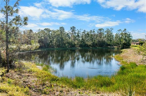 Reflection Isles, 10953 Cherry Laurel Dr, Fort Myers, Florida 33912, image 1