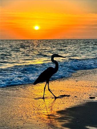 Boardwalk Caper, 18038 San Carlos Blvd #115, Fort Myers Beach, Florida 33931, image 2