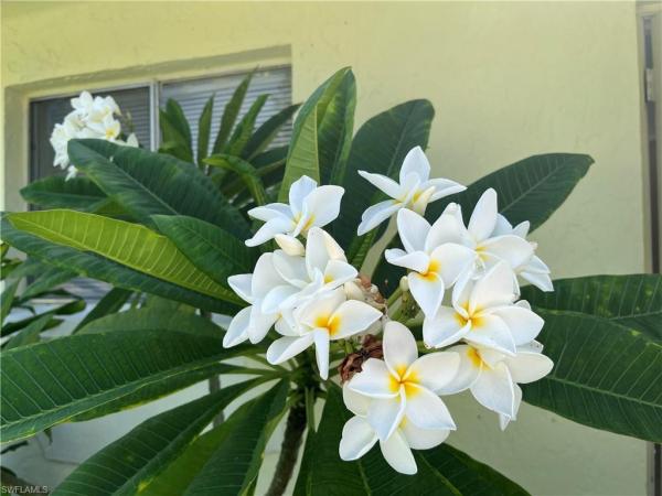 1275 Old Bridge Rd, North Fort Myers, Florida 33917, image 1