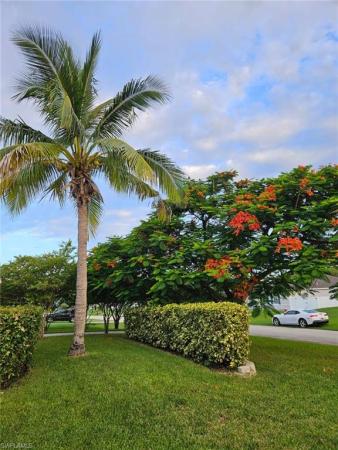 Cape Coral Residential, 330 SW 19th Ln, Cape Coral, Florida 33991, image 3