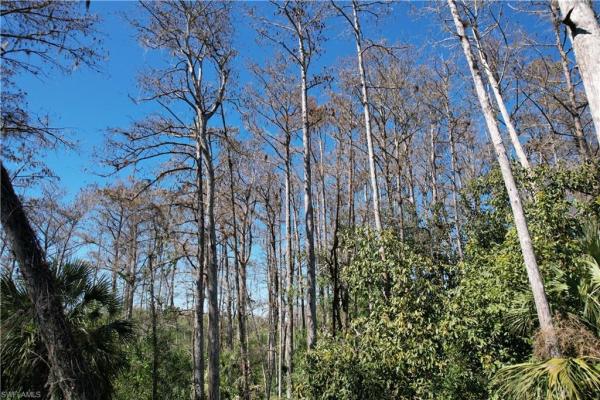 5960 Neal Rd, Fort Myers, Florida 33905, image 1