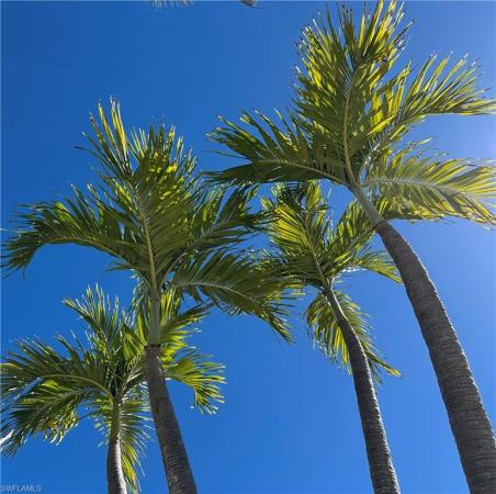 Daniels Park, 14122 Danpark Loop, Fort Myers, Florida 33912, image 1