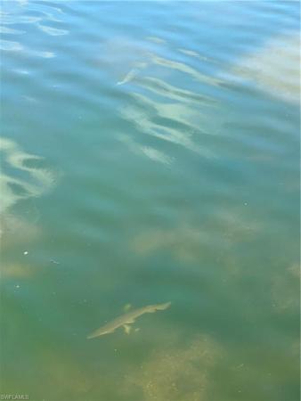 Cape Coral, 42 13th Ave, Cape Coral, Florida 33909, image 1