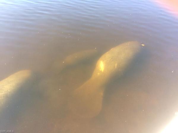 Schooner Bay Columbia, 3490 Key Dr #301, North Fort Myers, Florida 33903, image 1