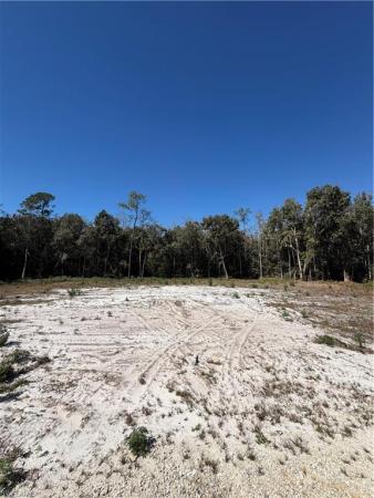 Naples South, 11595 Tomato Rd, Naples, Florida 34114, image 1