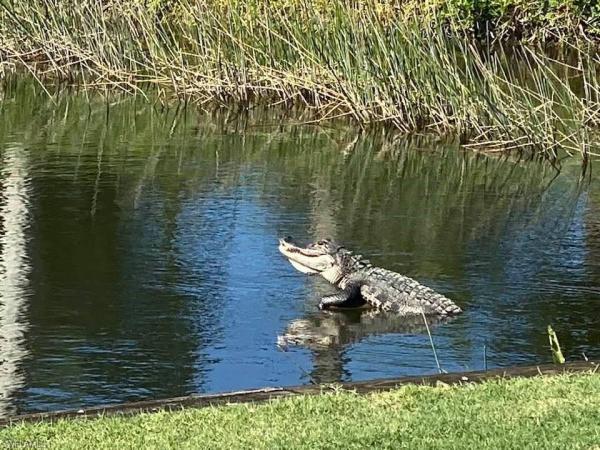 Heritage Palms Estates, 7996 Tiger Palm Way, Fort Myers, Florida 33966, image 1