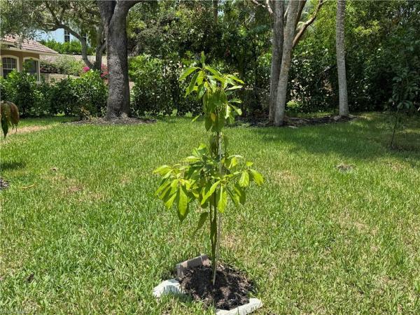 Caxambas Estates, 1740 Ludlow Rd, Marco Island, Florida 34145, image 2