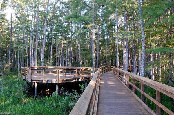 Garden Lakes, 10135 Colonial Country Club Blvd #1202, Fort Myers, Florida 33913, image 2