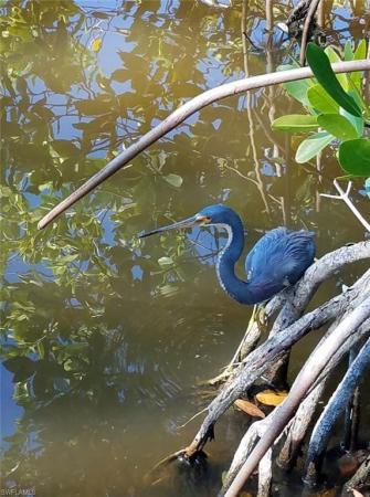 Sanibel Bayous, 4556 Bowen Bayou Rd, Sanibel, Florida 33957, image 2