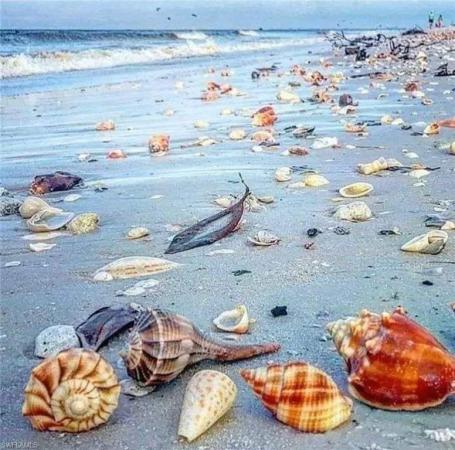 High Dunes, 970 Sand Castle Rd, Sanibel, Florida 33957, image 1