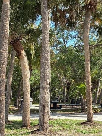 Cape Coral Residential, 1927 21st St, Cape Coral, Florida 33990, image 3