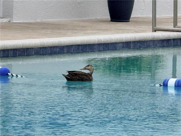 Myerlee Gardens, 6844 Sandtrap Dr #2, Fort Myers, Florida 33919, image 3