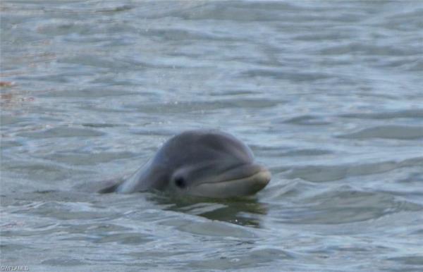 4821 Landings Dr #205, Fort Myers, Florida 33919, image 1