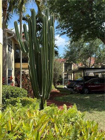 Venetian Palms, 12561 Equestrian Cir #802, Fort Myers, Florida 33907, image 2